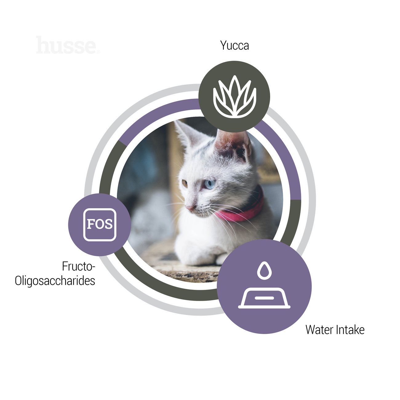 Exclusive Urinary, 2 kg | Nutrição completa para a saúde urinária nos gatos