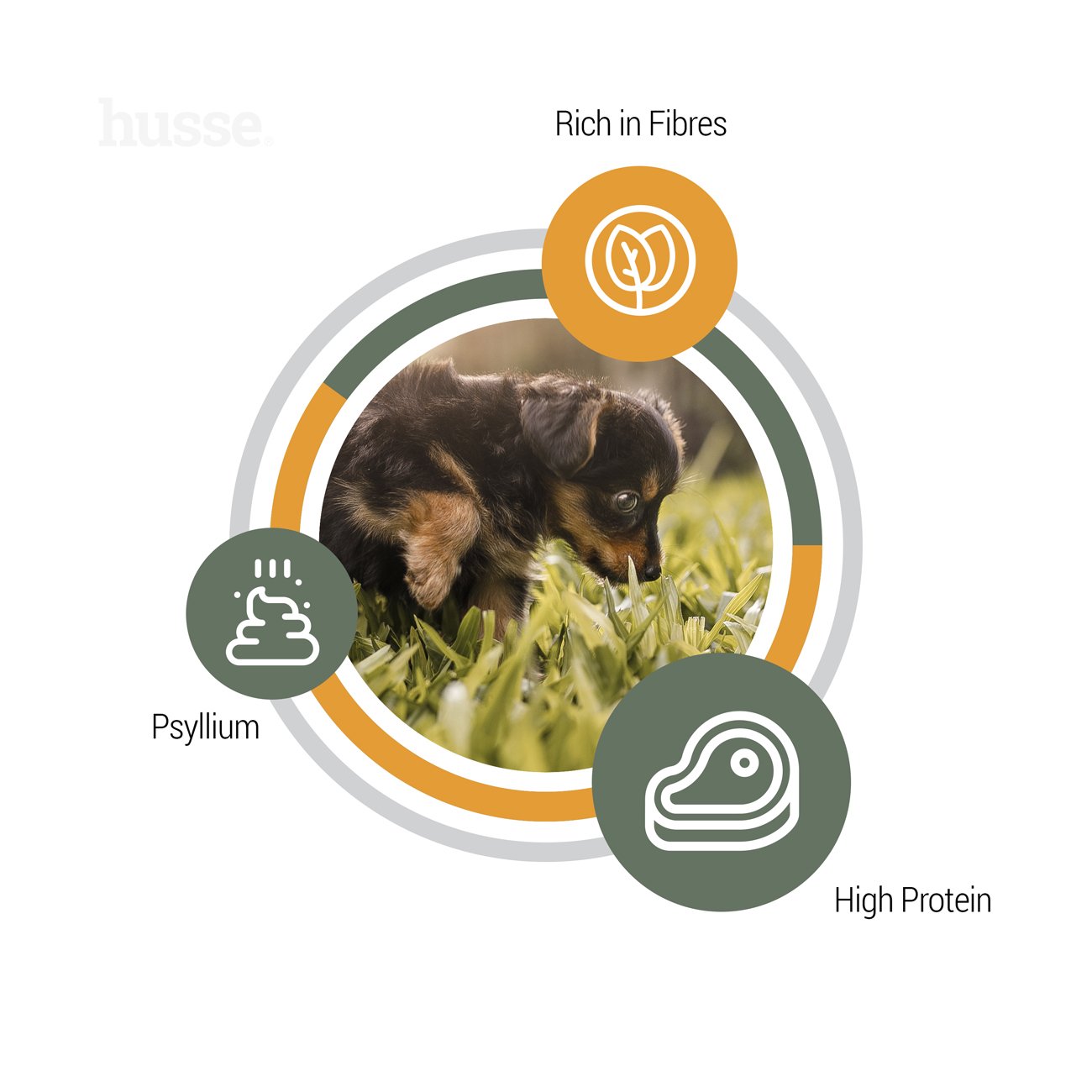 Valp Plus, 2 kg | Nutrição completa com psílio e fibras vegetais para uma boa digestão