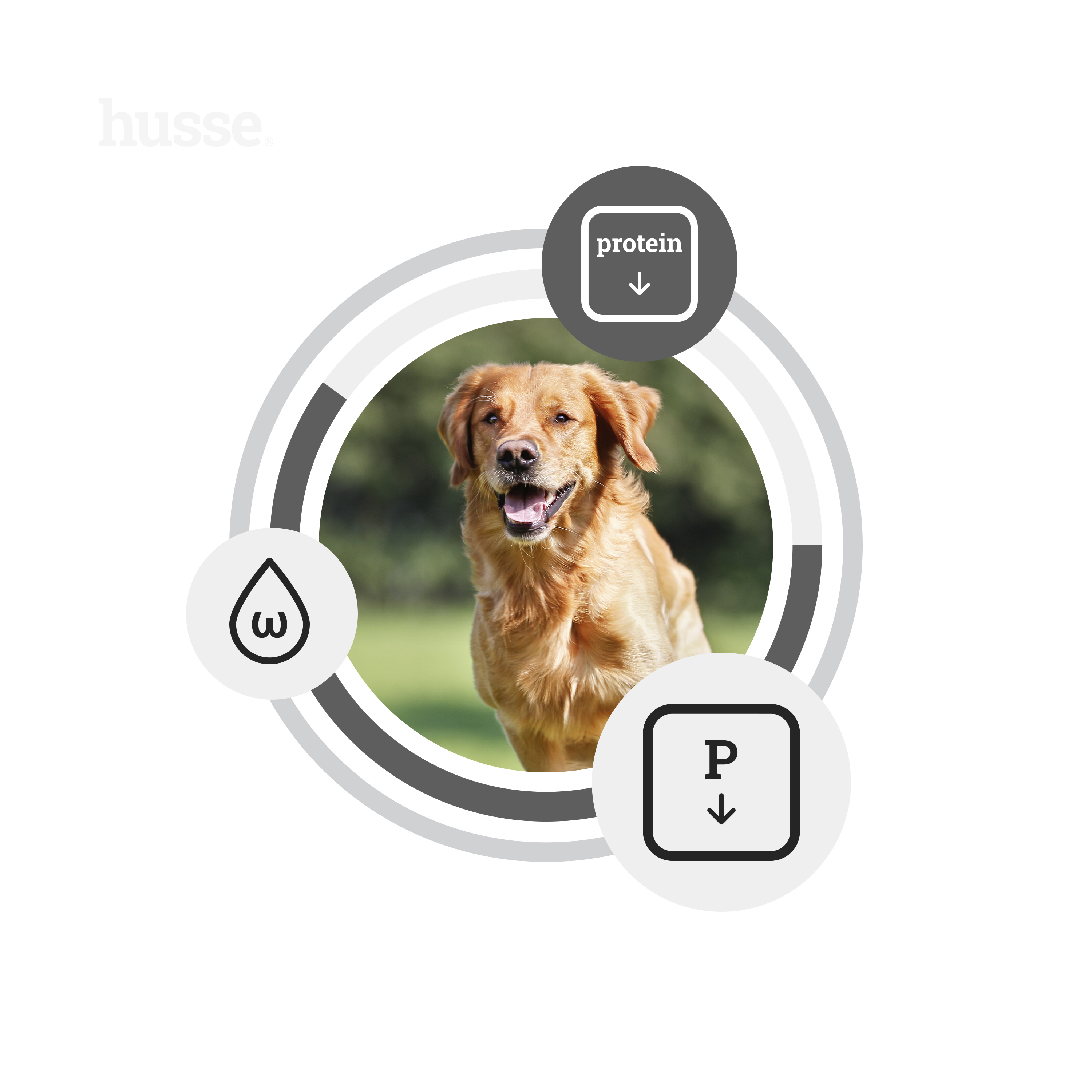 Diet Kidney, Heart & Liver, 7 kg | Alimento dietético completo para cães adultos