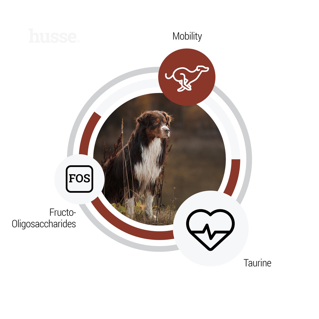 Sensitive Digest Giant, 12.5 kg | Fórmula sem glúten com fontes de proteína animal limitadas