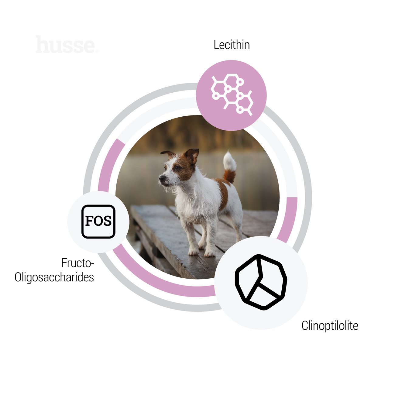 Sensitive Ocean Care Mini, 2 kg | Fórmula sem glúten com uma única fonte de proteína animal