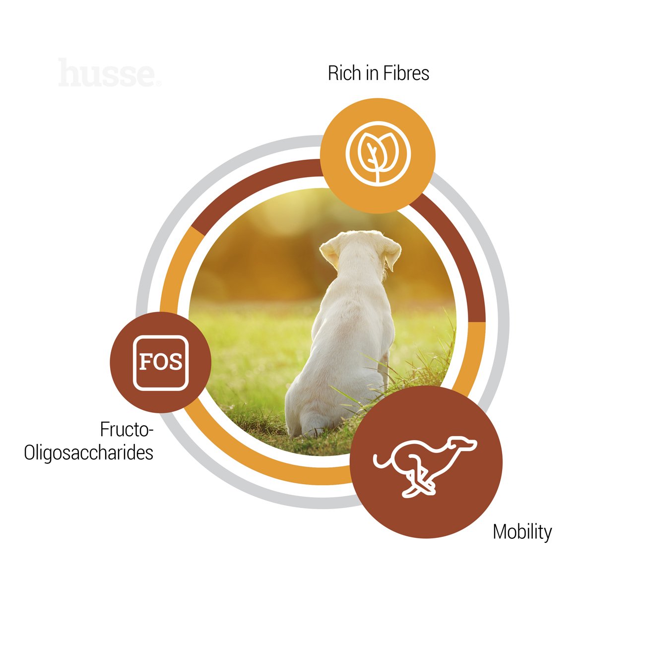 Valp Maxi, 12 kg | Suporta as necessidades de desenvolvimento de cachorros de raças grandes