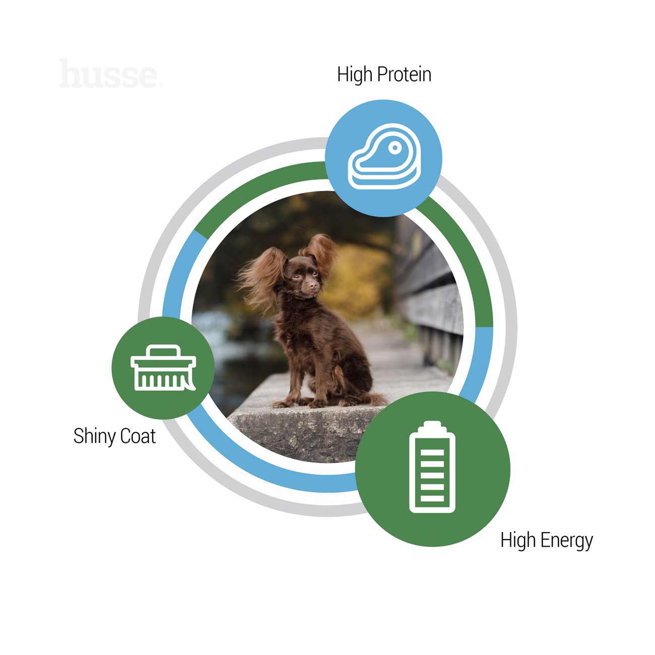 Optimal Mini, 2 kg | Alimento sem glúten desenvolvido para satisfazer necessidades energéticas elevadas