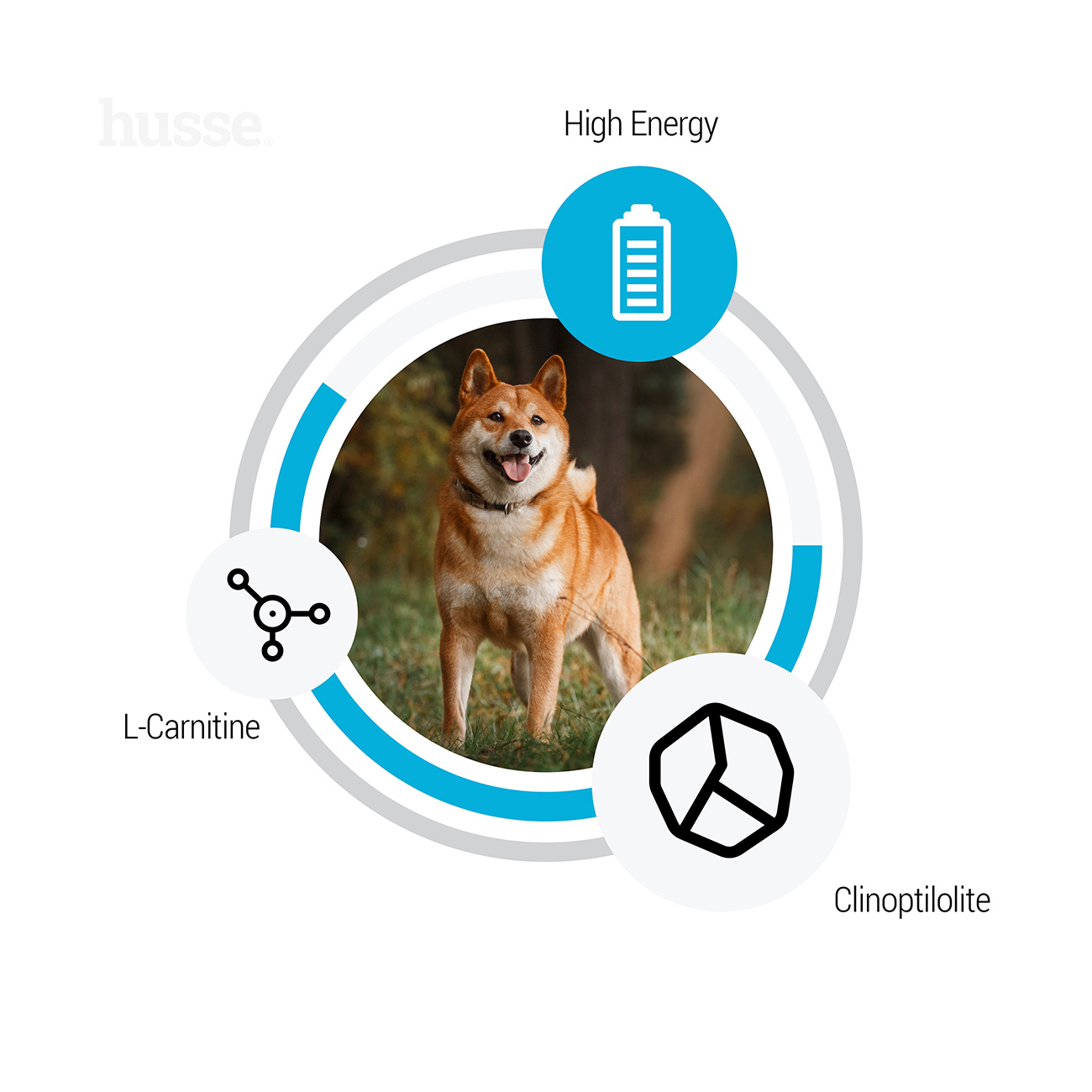 Sensitive Optimal, 12.5 kg | Alimento isento de glúten desenvolvido para satisfazer necessidades energéticas adicionais