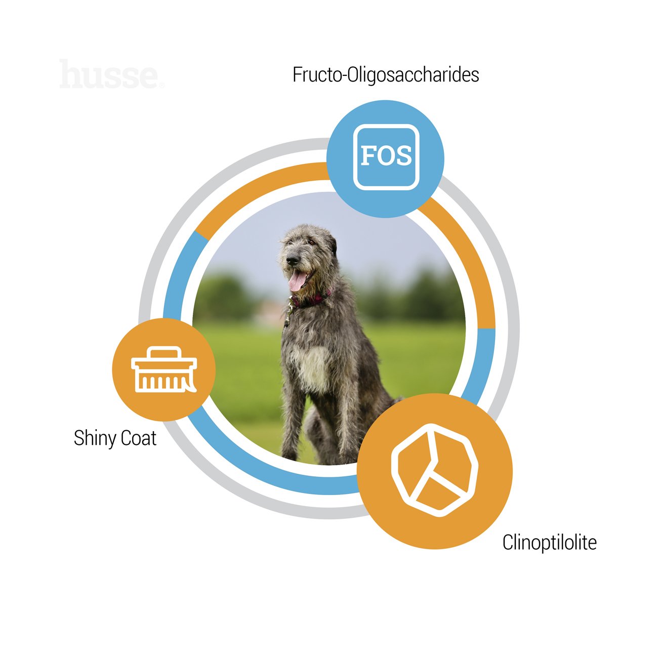 Optimal Giant, 12 kg |  Nutrição completa para as necessidades nutricionais de cães de raça grande