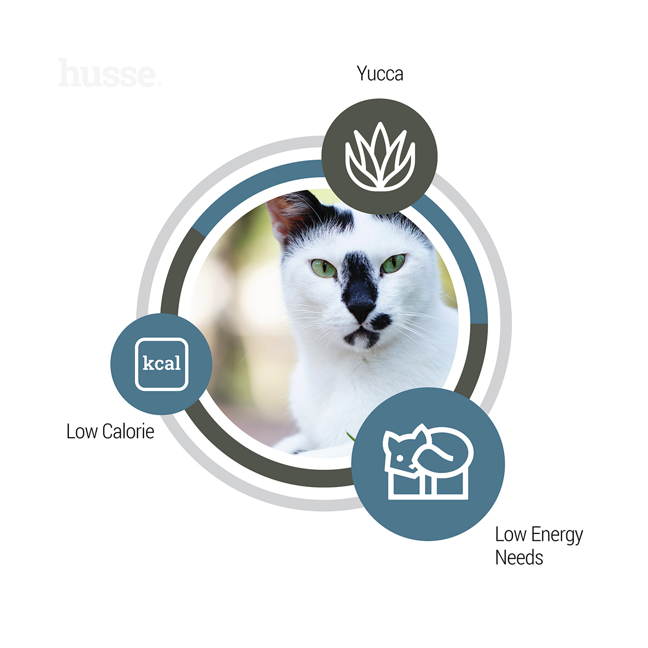 Exclusive Light, 2 kg | Alimento especialmente desenvolvido para ajudar a manter um peso saudável