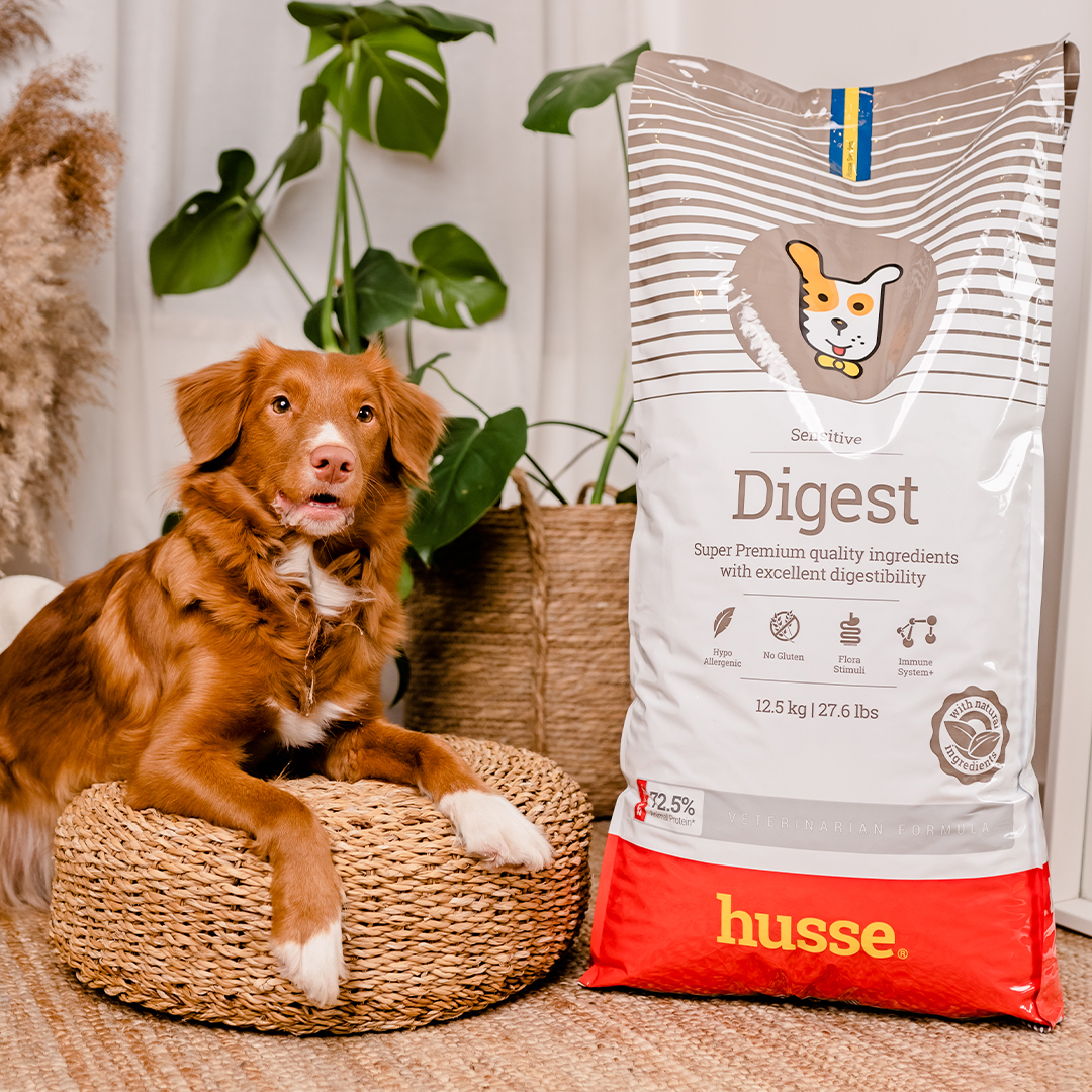 Sensitive Digest, 2 kg |  Fórmula sem glúten com fontes de proteína animal limitadas