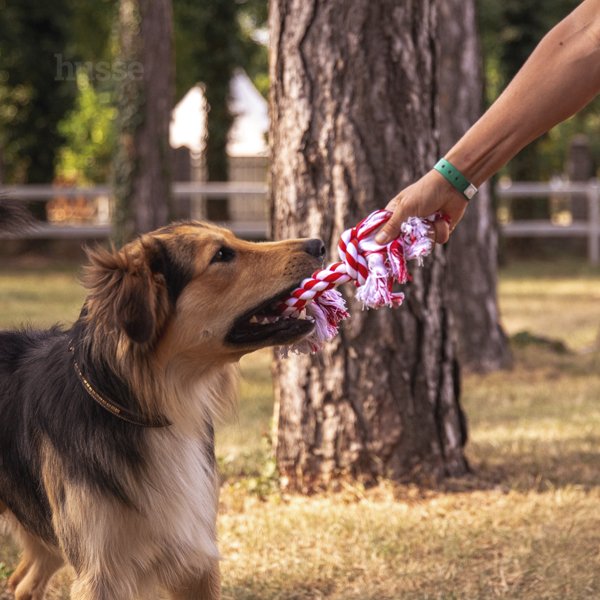 Rep | Double knot, two-colour rope dog toy