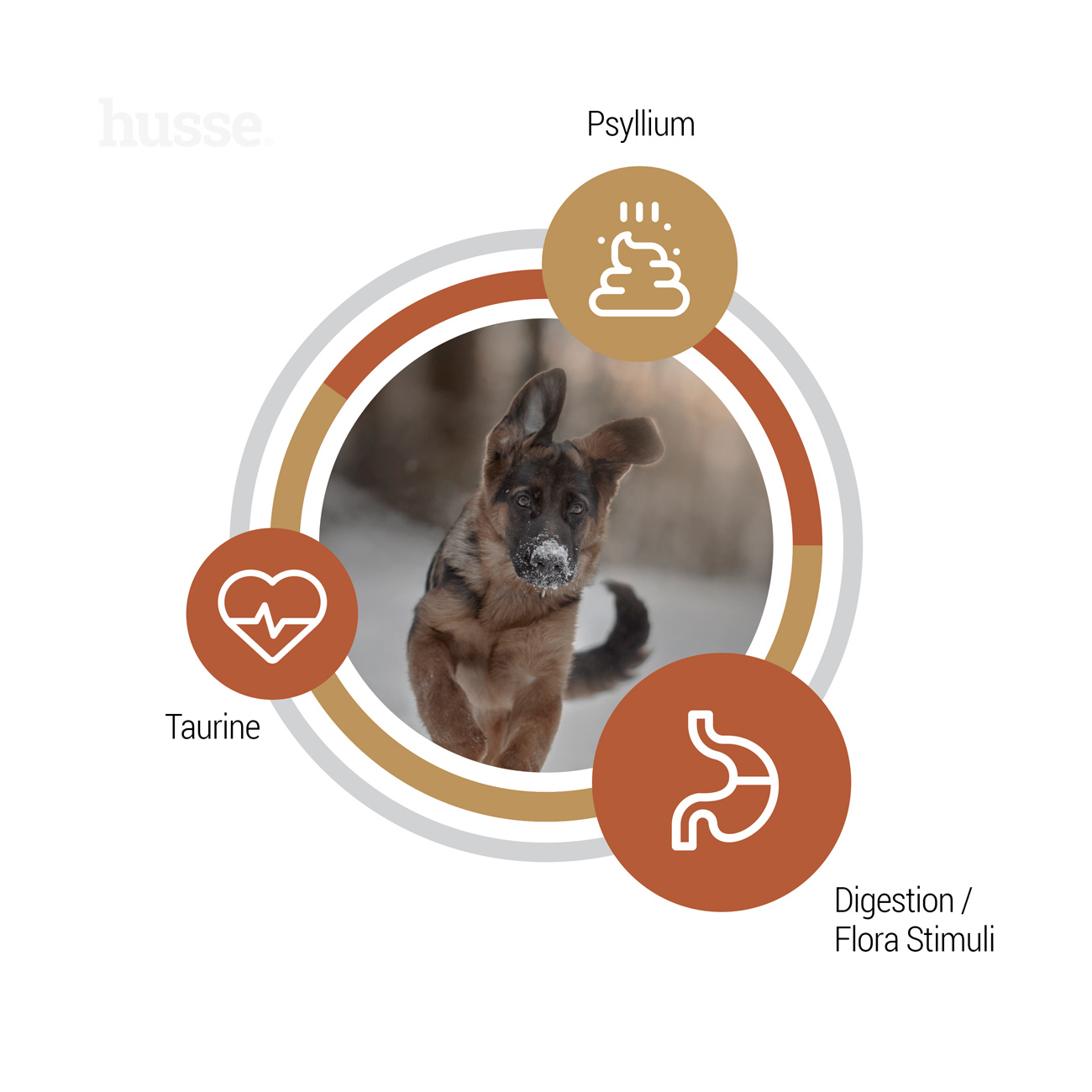 Valp Farm, 12 kg | Alimento sem cereais com elevado teor de proteína animal de fontes limitadas