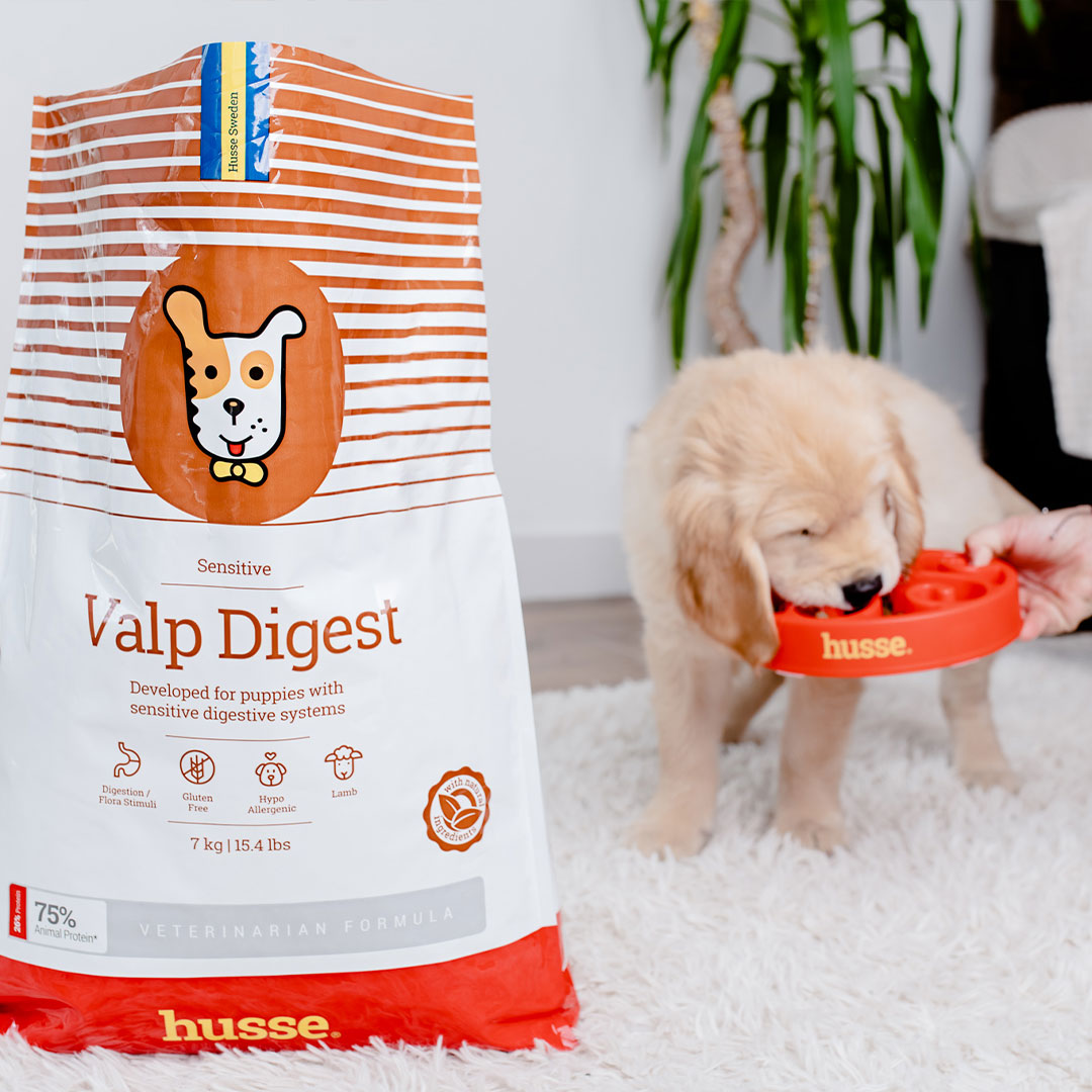 Sensitive Valp Digest, 12.5 kg | Indicado para satisfazer as necessidades de desenvolvimento de cachorros sensíveis