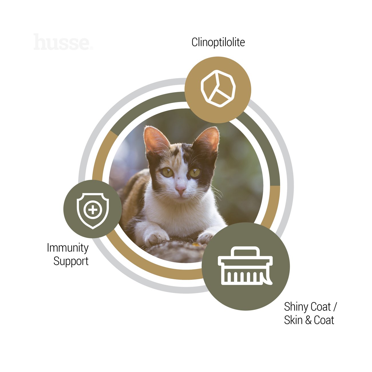 Opus Lynx, 2 kg | Alimento sem cereais para gatos com pele e estômago sensíveis