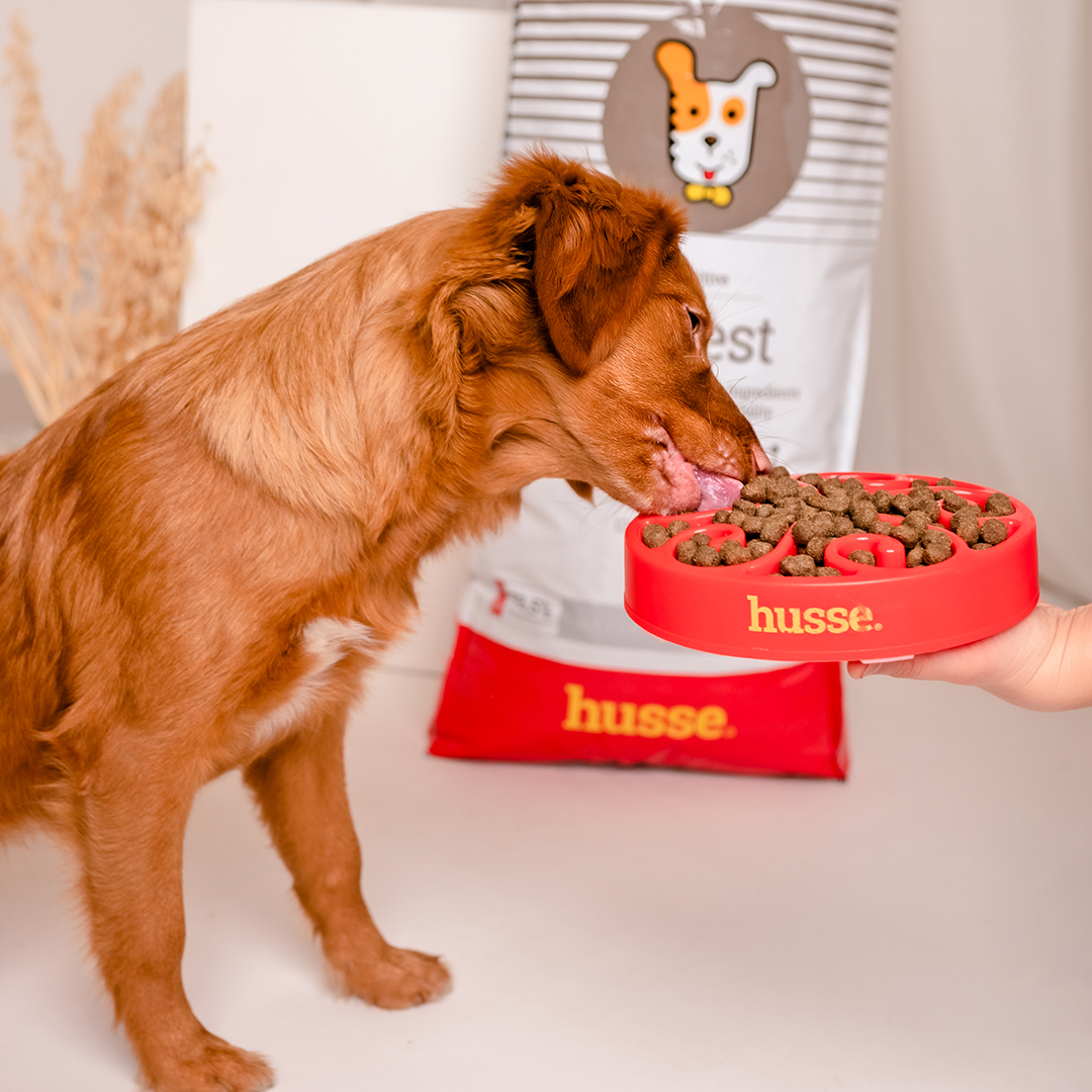 Sensitive Digest, 2 kg |  Fórmula sem glúten com fontes de proteína animal limitadas