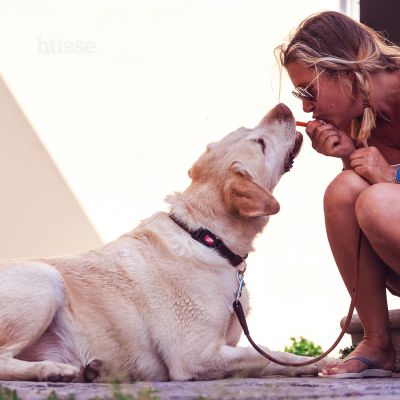 Kycklingfilé | Frango