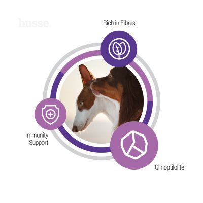 Sterilised, 12 kg | Nutrição completa com elevada proteína para manutenção da condição corporal