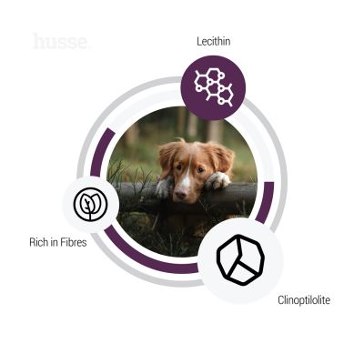 Sensitive Light, 12.5 kg | Alimento isento de glúten com moderado teor de energia para otimização no controle do peso