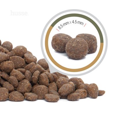 Opus Lynx, 2 kg | Alimento sem cereais para gatos com pele e estômago sensíveis