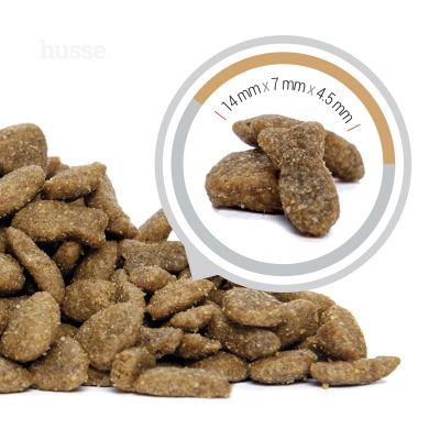 Kroketter Lax, 2 kg | Alimento de manutenção para gato