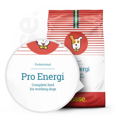 Pro Energi, 15 kg |Alimento seco rico em proteína e gordura para uma massa muscular magra
