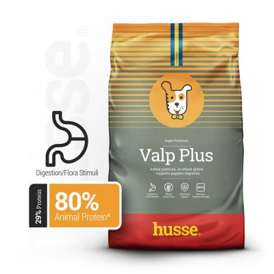 Valp Plus | Alimento sem glúten para cachorros e cadelas com sistema digestivo sensível