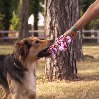 Rep | Double knot, two-colour rope dog toy