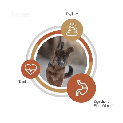 Valp Farm, 12 kg | Alimento sem cereais com elevado teor de proteína animal de fontes limitadas