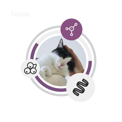 Fresh Sterilised, 7 kg | Sem cereais à base de frango fresco para gatos esterilizados