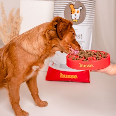 Sensitive Digest, 2 kg |  Fórmula sem glúten com fontes de proteína animal limitadas