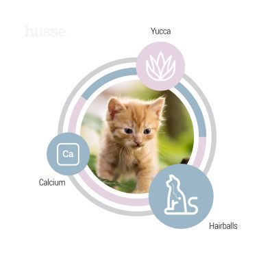 Exclusive Kattunge, 2 kg | Nutrição completa especialmente desenvolvida para gatinhos em crescimento