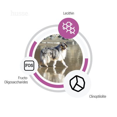 Sensitive Ocean Care, 12.5 kg | Fórmula sem glúten com uma única fonte de proteína animal